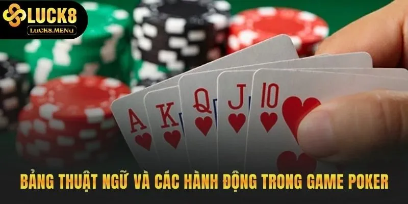 Các lệnh cơ bản Fold Call Raise và All-in