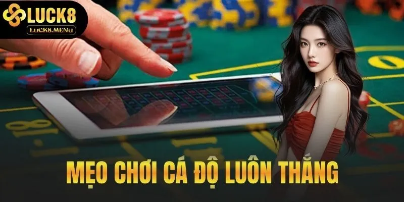 Mẹo Chơi Cá Độ Luôn Thắng