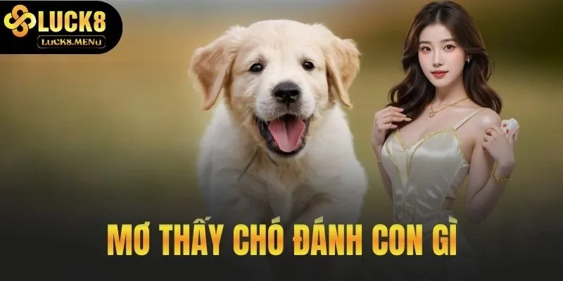 Mơ Thấy Chó Đánh Con Gì