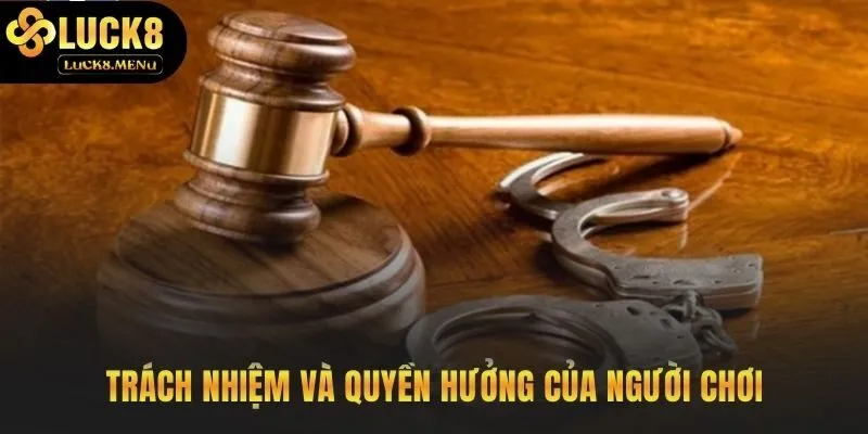 Điều khoản điều kiện xác lập quyền lợi và nghĩa vụ người chơi